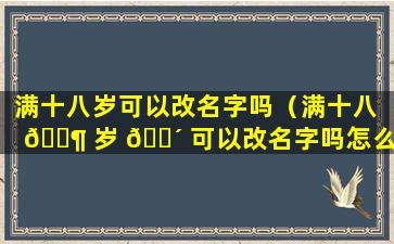 满十八岁可以改名字吗（满十八 🐶 岁 🌴 可以改名字吗怎么改）